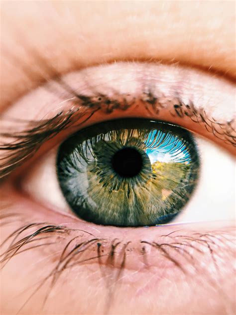 eye stock images|eye pic.
